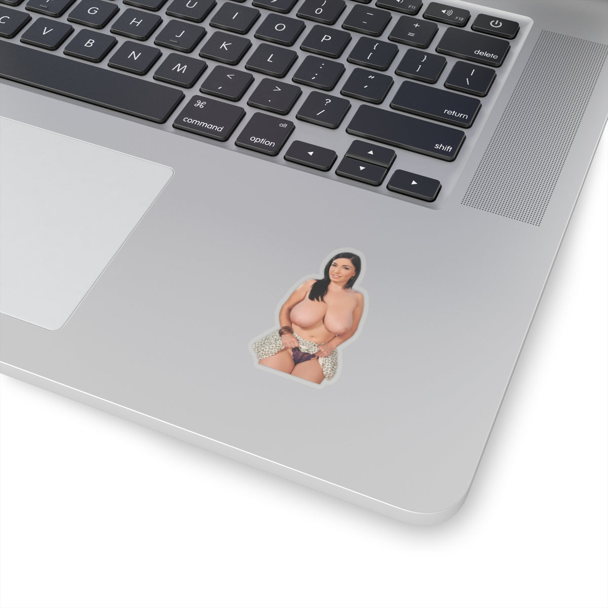 Sexy Pinup Model Vinyl Sticker Woman Decal Adult Art Design