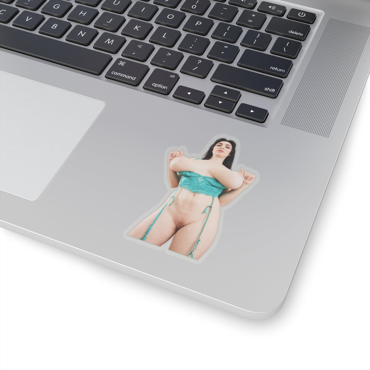 Sexy Girl Sticker Big Tits Women Pinup Naked Uncensored Stickers