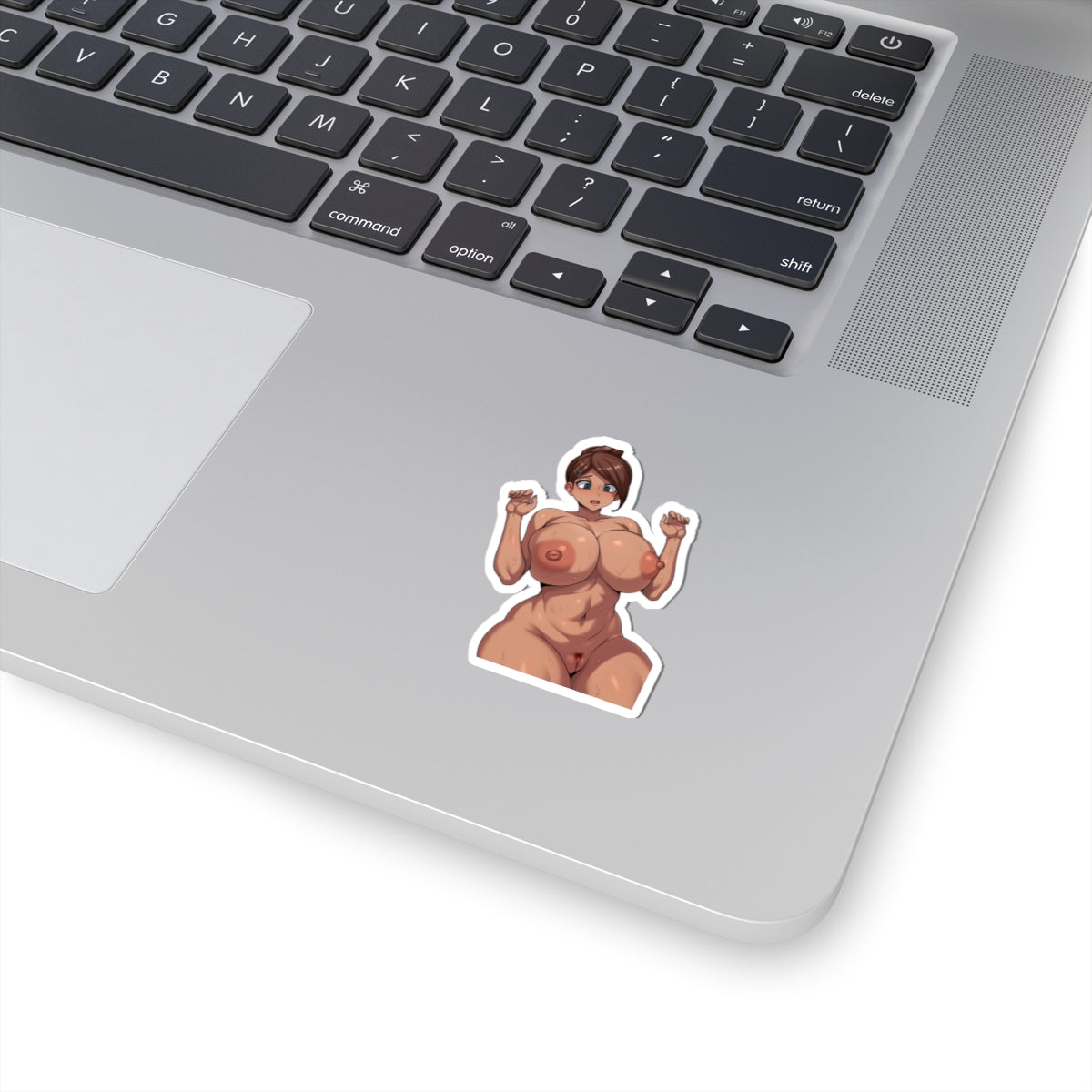 Hentai Sticker Uncensored Anime Decals