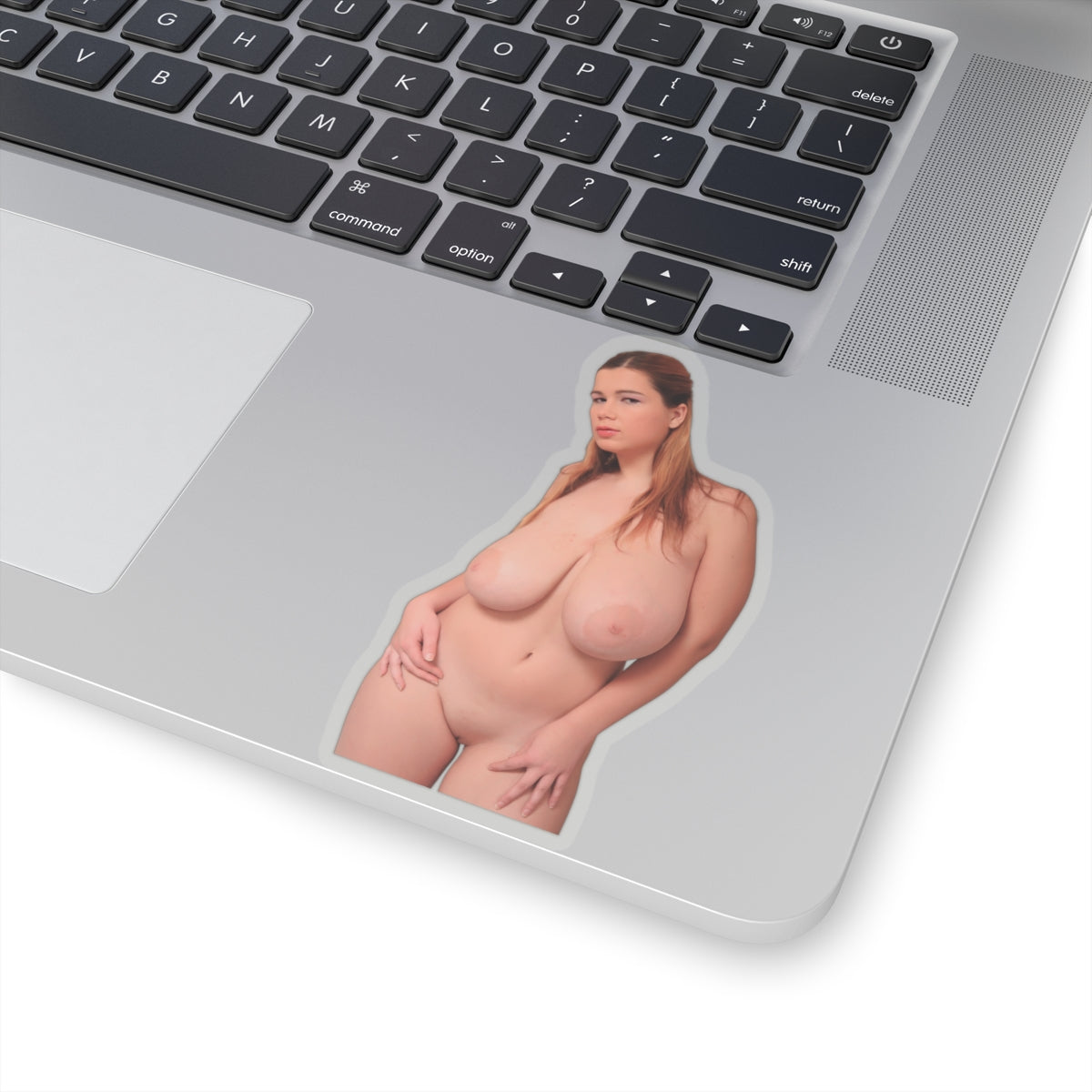 Naked Pussy XXX Sticker Nude Big Tits Stickers