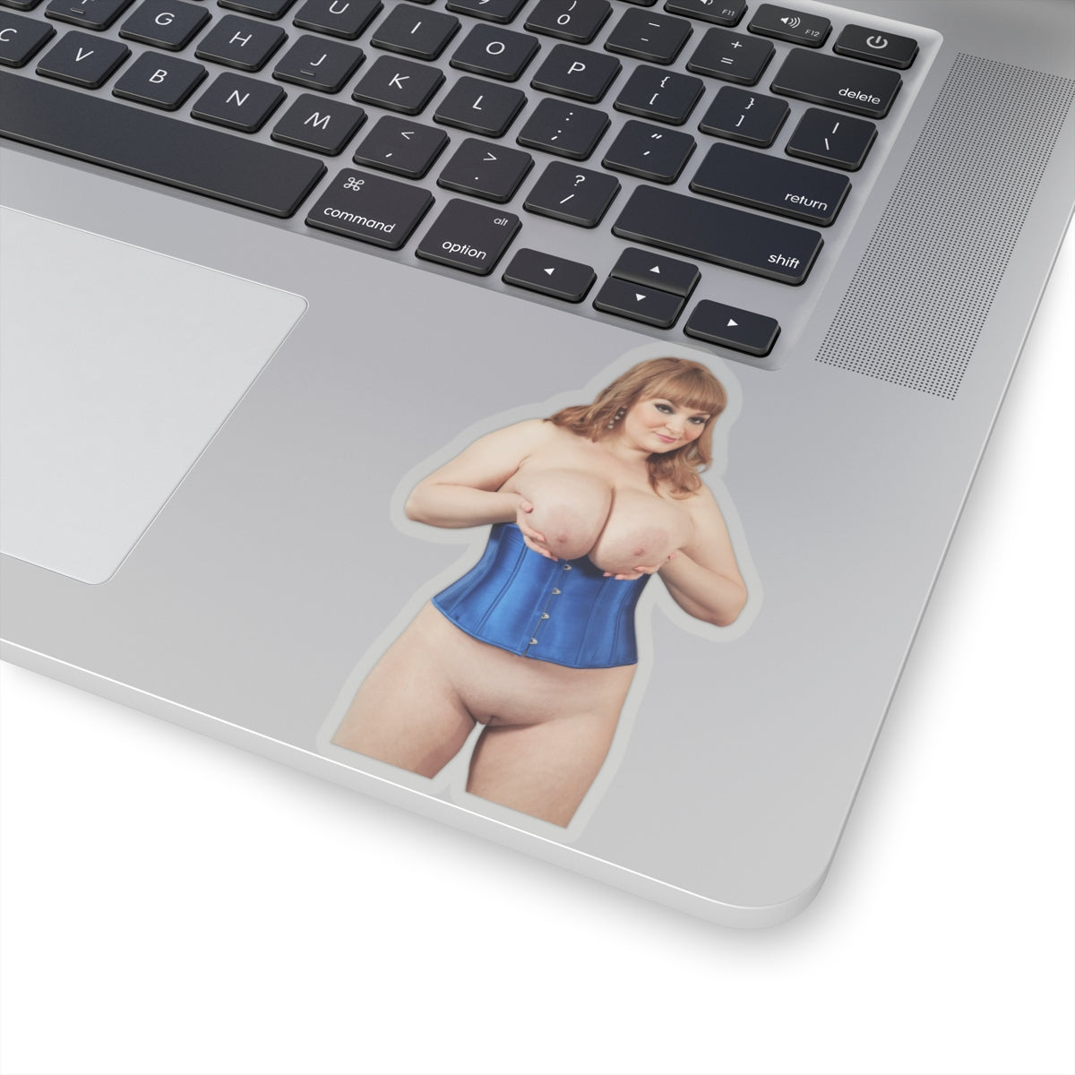 Big Boobs Thicc Curvy Naked Girl Adult Stickers