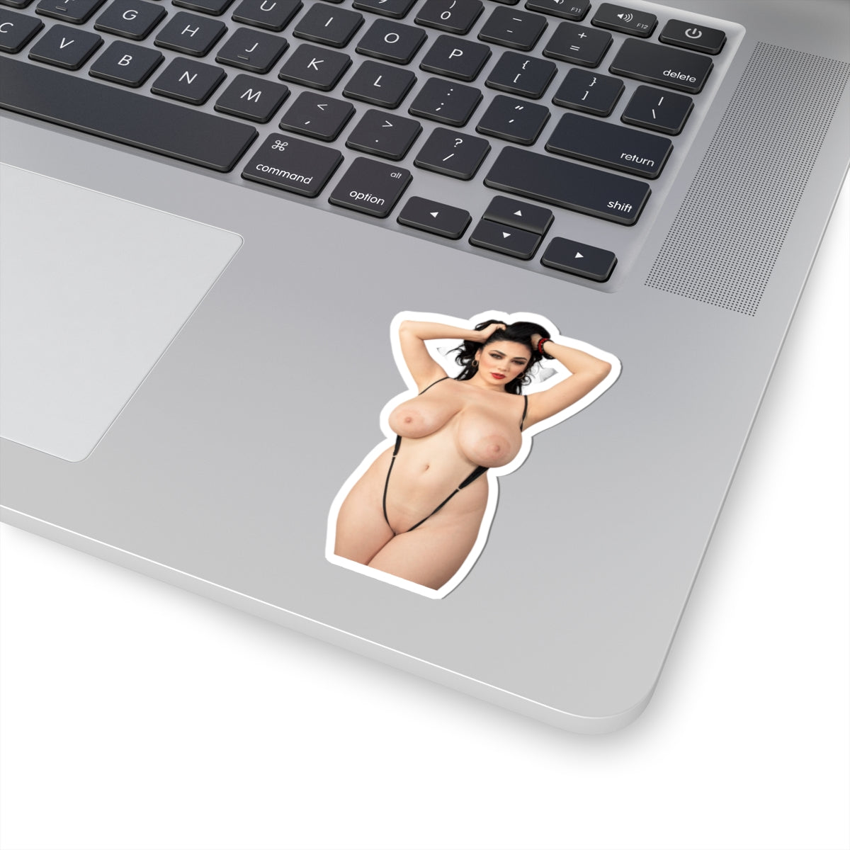 Adult Stickers Big Tits Big Boobs Girl Sticker
