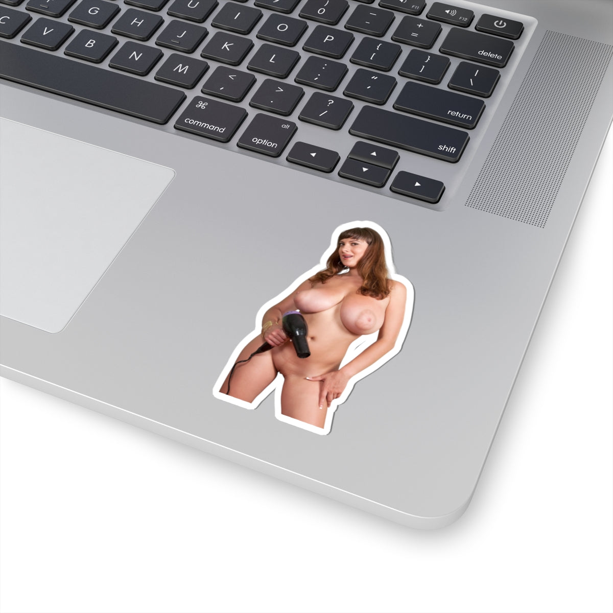 Big Boobs Girl Sticker Adult Stickers Pinup Model Decals