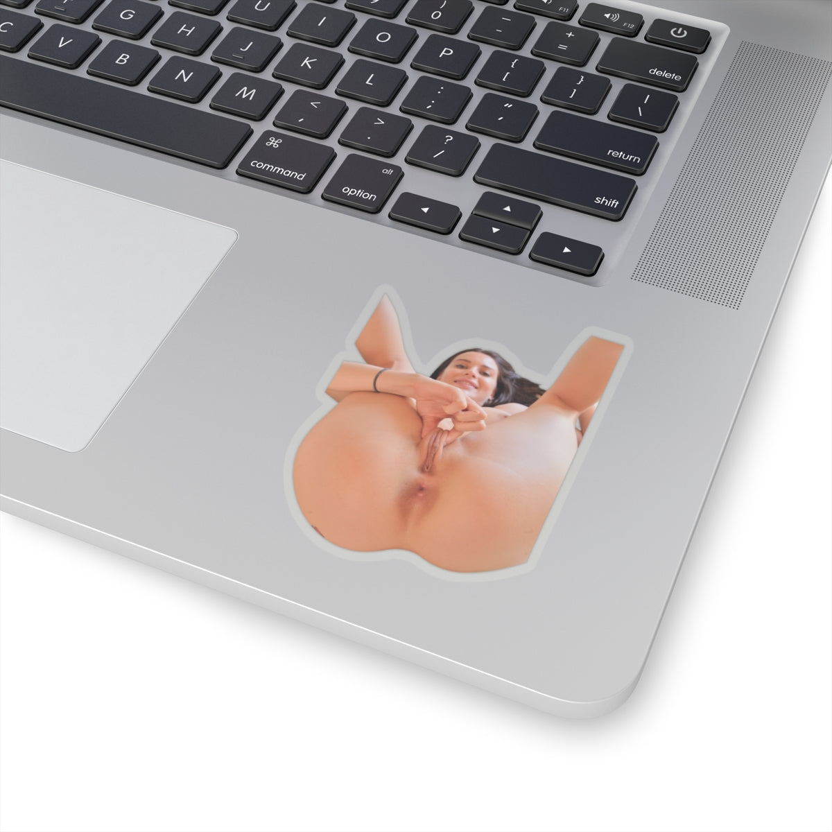 PRETTY GIRL STICKER SEXY PINUP MODEL STICKERS