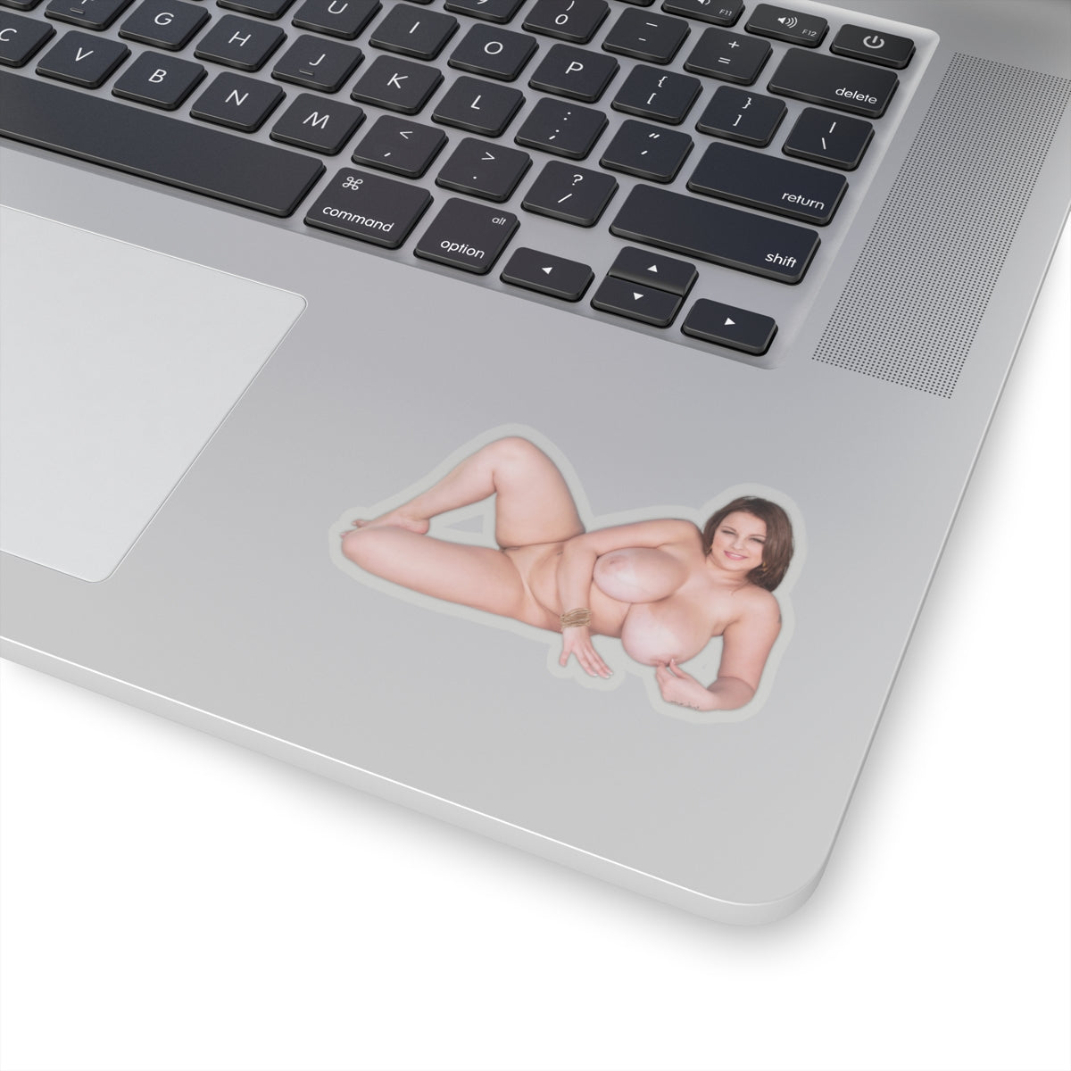 Terri Jane Sticker Big Tits Girl Stickers