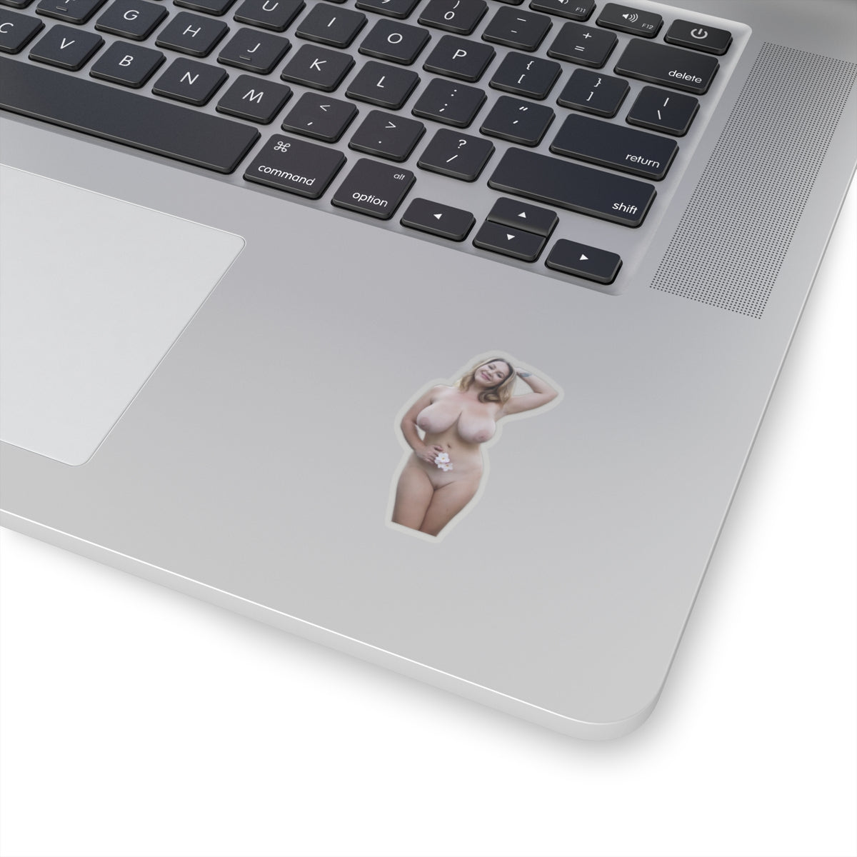 Big Tits Girl Sticker Pinup Model Stickers
