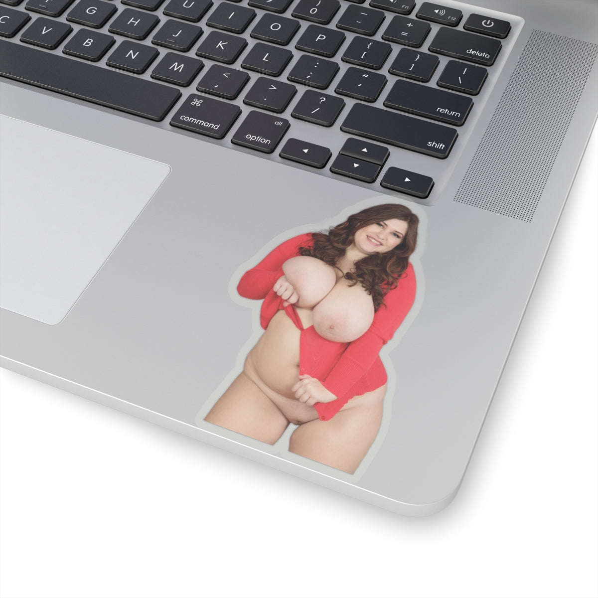 Thick Curvy Girl Big Boobs Women Sticker
