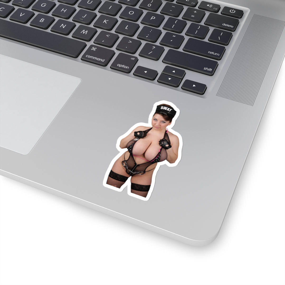 Swat Sticker Big Tits Girl Beautiful Model Pinup Stickers Funny Stickers Meme Sticker E756