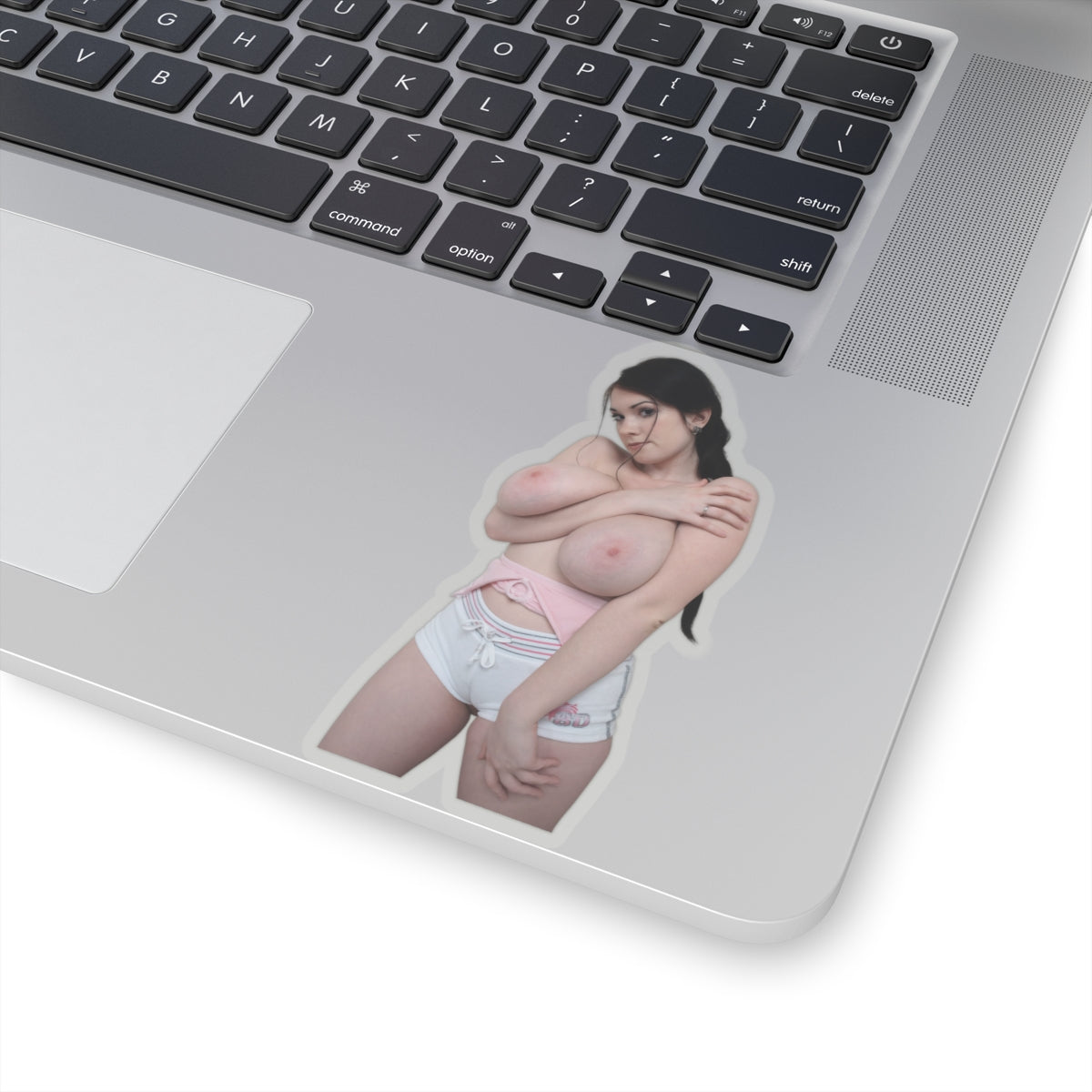Hot Curvy Girl Model Sticker Sexy Fashion Decal