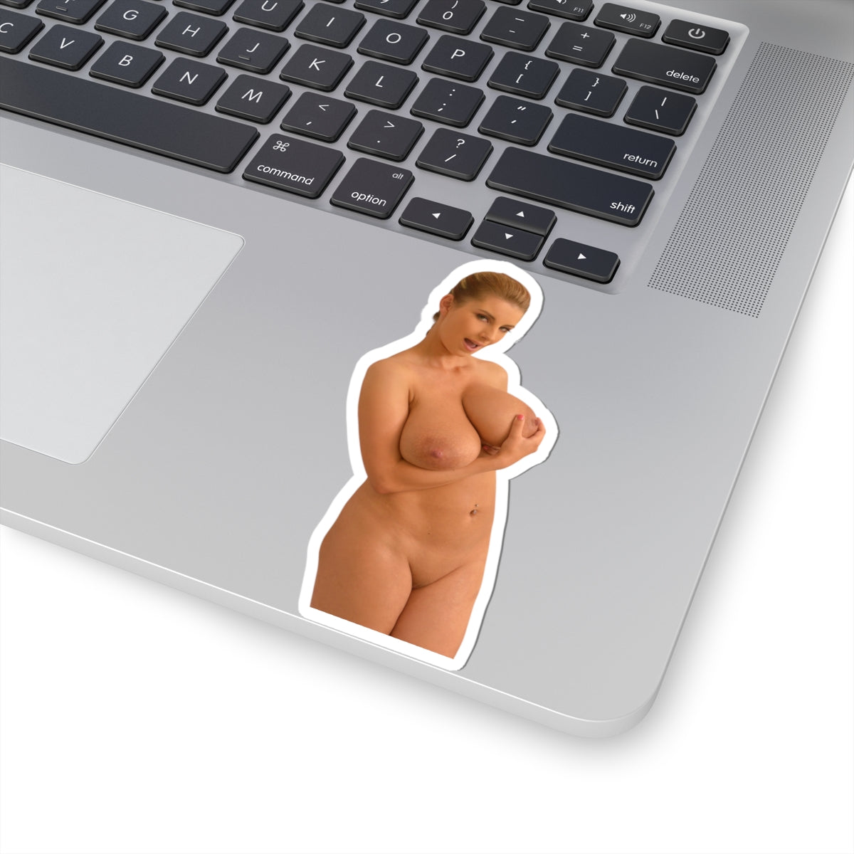 Sexy Girl Naked Sticker Nude Women Big Tits Boobs Stickers