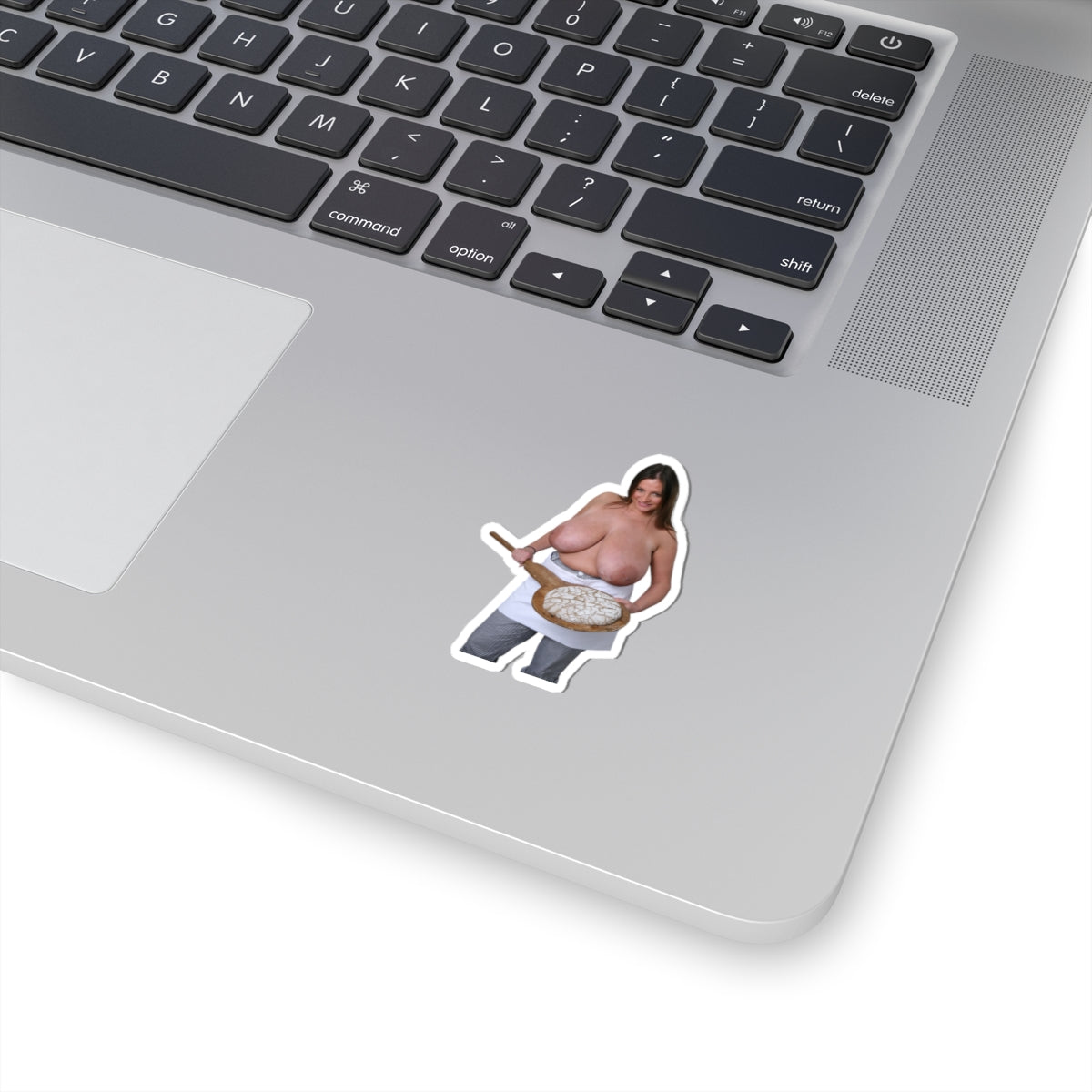 Nadine Jansen Big Boobs Model Sticker Sexy Pinup Stickers