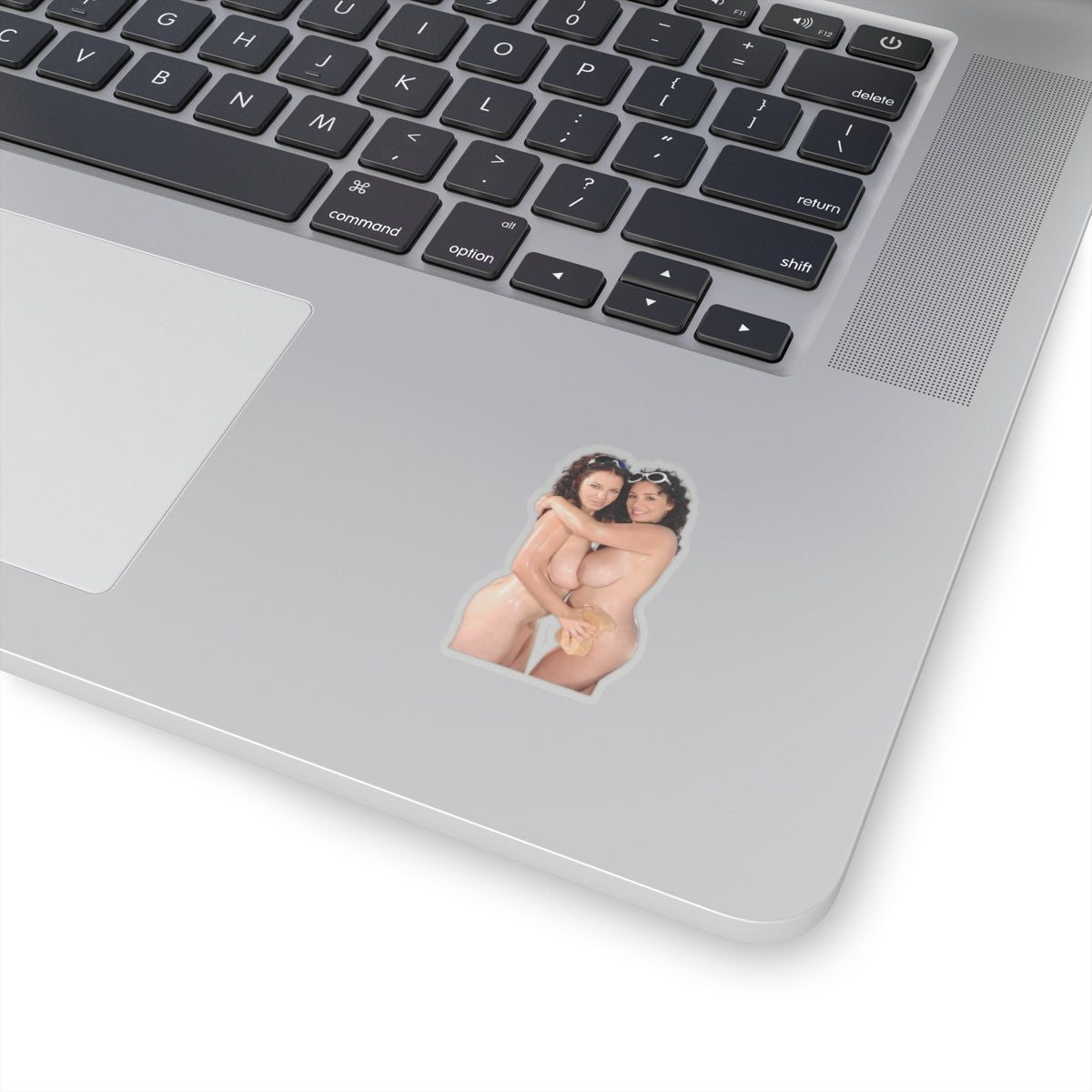 Sexy Girls Sticker Naked Models Stickers