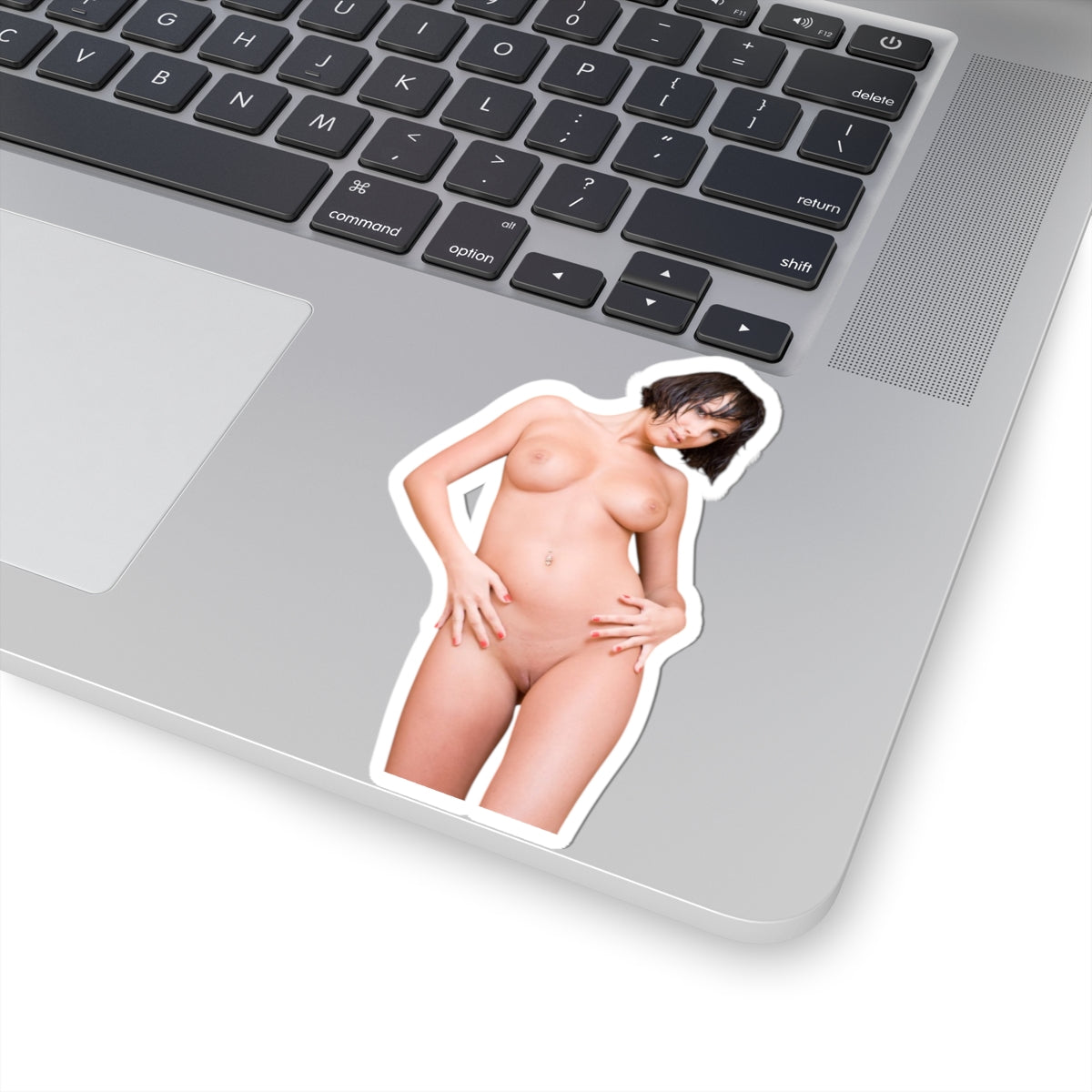 Sexy Girl Sticker Pinup Model Stickers