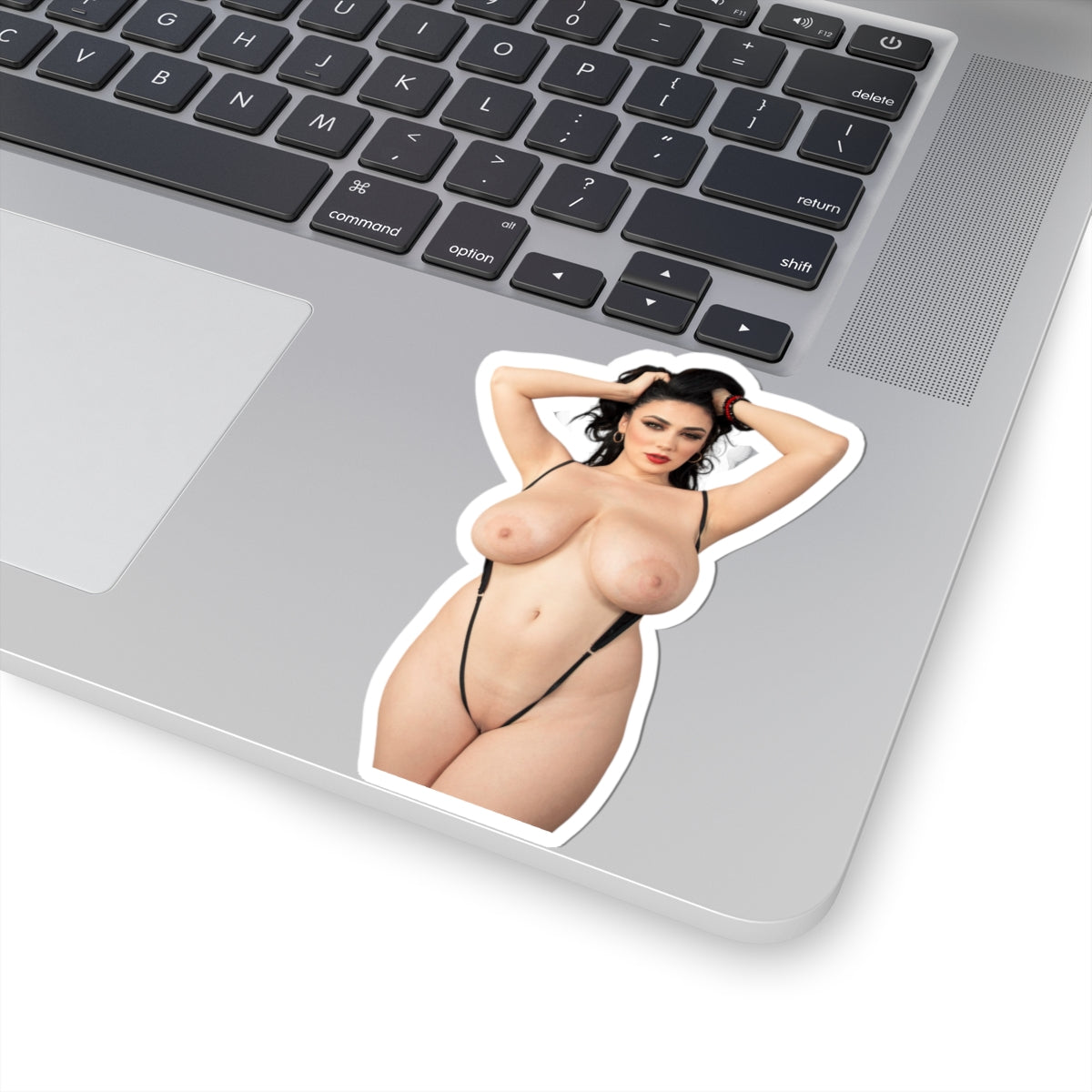 Adult Stickers Big Tits Big Boobs Girl Sticker