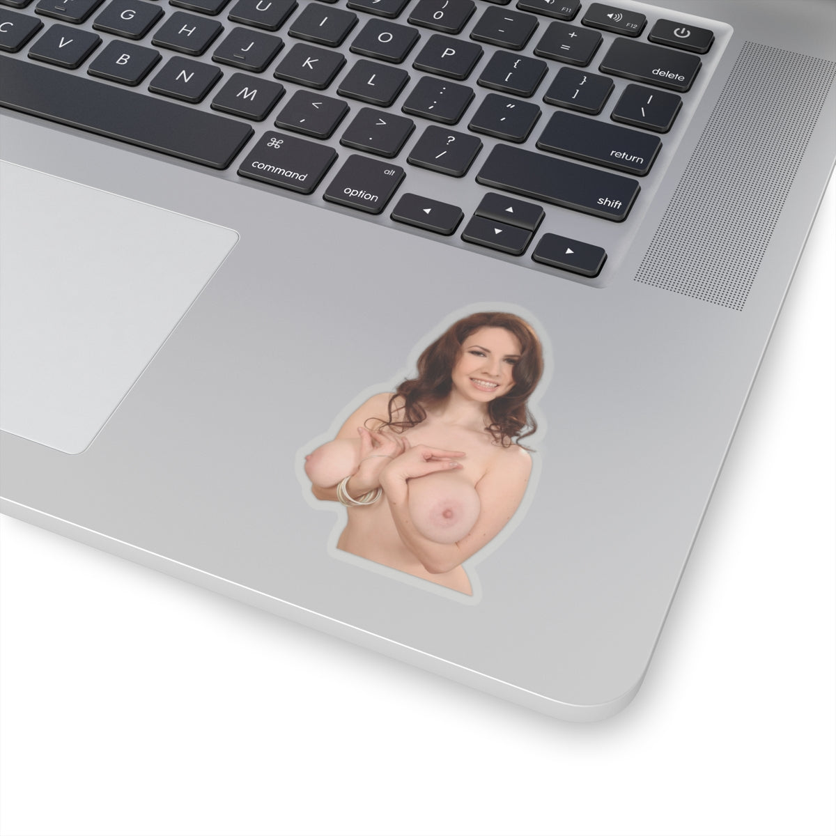 naked big tits girl sticker