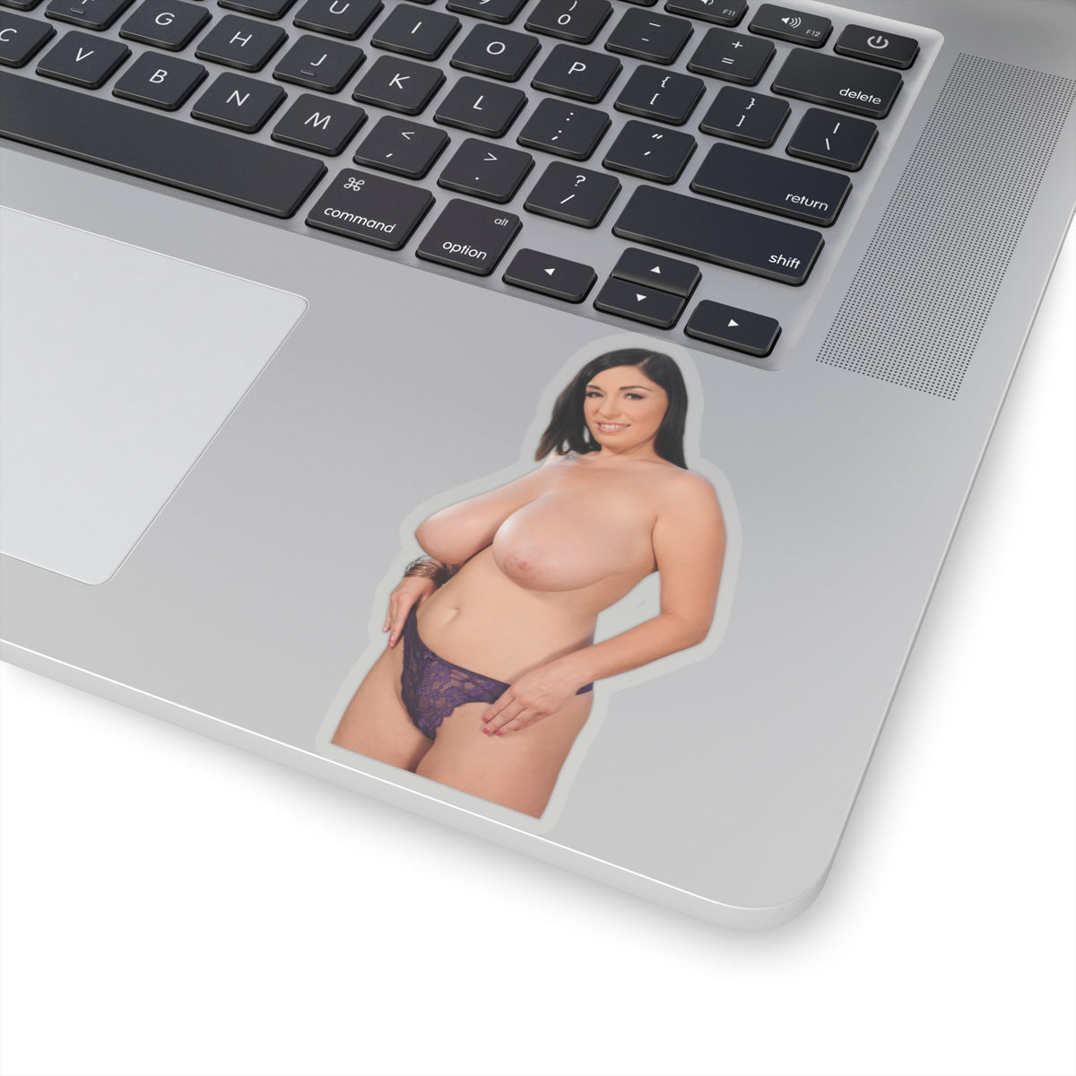 Curvy Pinup Model Sticker Vinyl Decal Sexy Woman Artwork