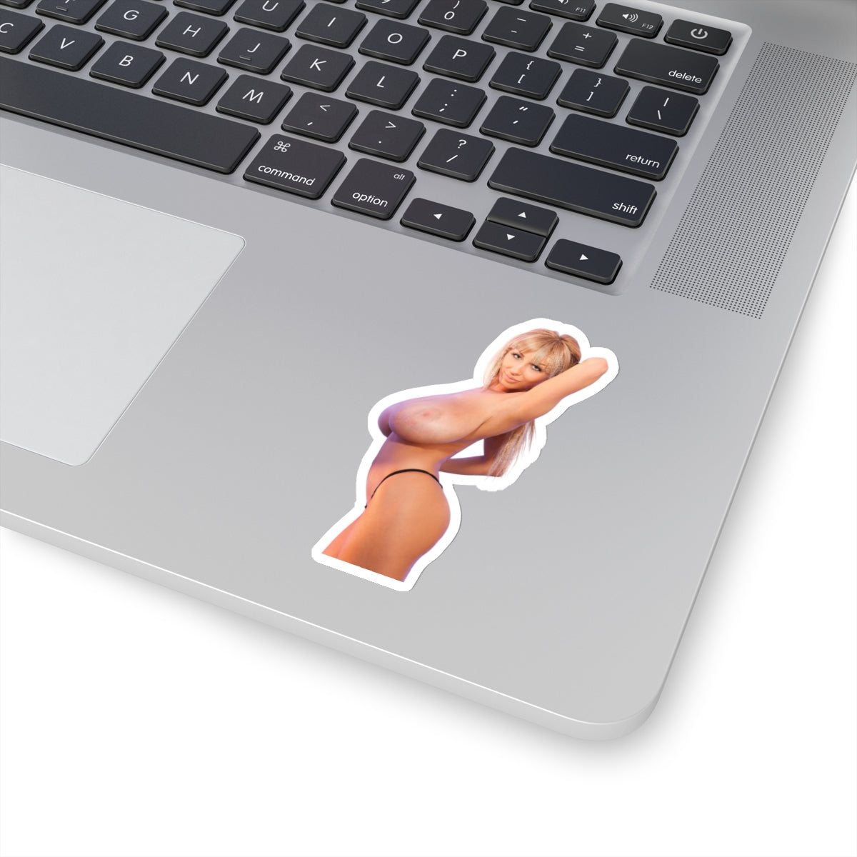 Sexy Girl Sticker Big Tits Women Pinup Model Uncensored Adult Laptop Water Bottle Vinyl Stickers E500