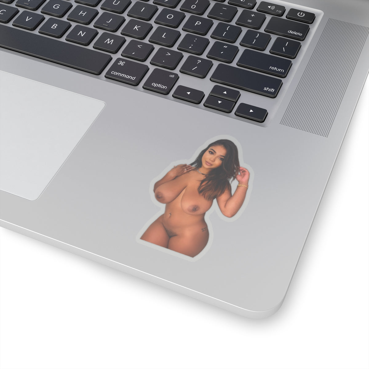 AA Beautiful Naked Model,Hot Girl,Sexy Women Sticker,Adult Stickers,Uncensored Sticker,Mature,Pinup Girl,Big Sticker,E339