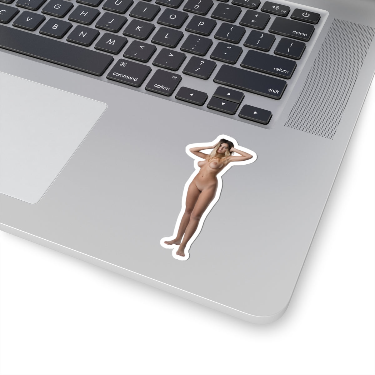 Naked Girl Sticker, Hot Model Stickers, for adult,nudity,