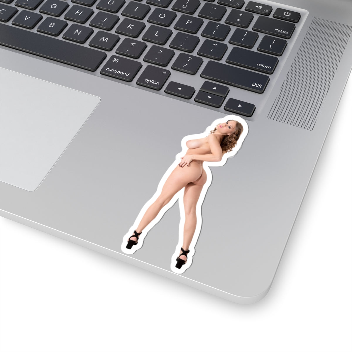 Naked Ass Sticker SExy Model Stickers