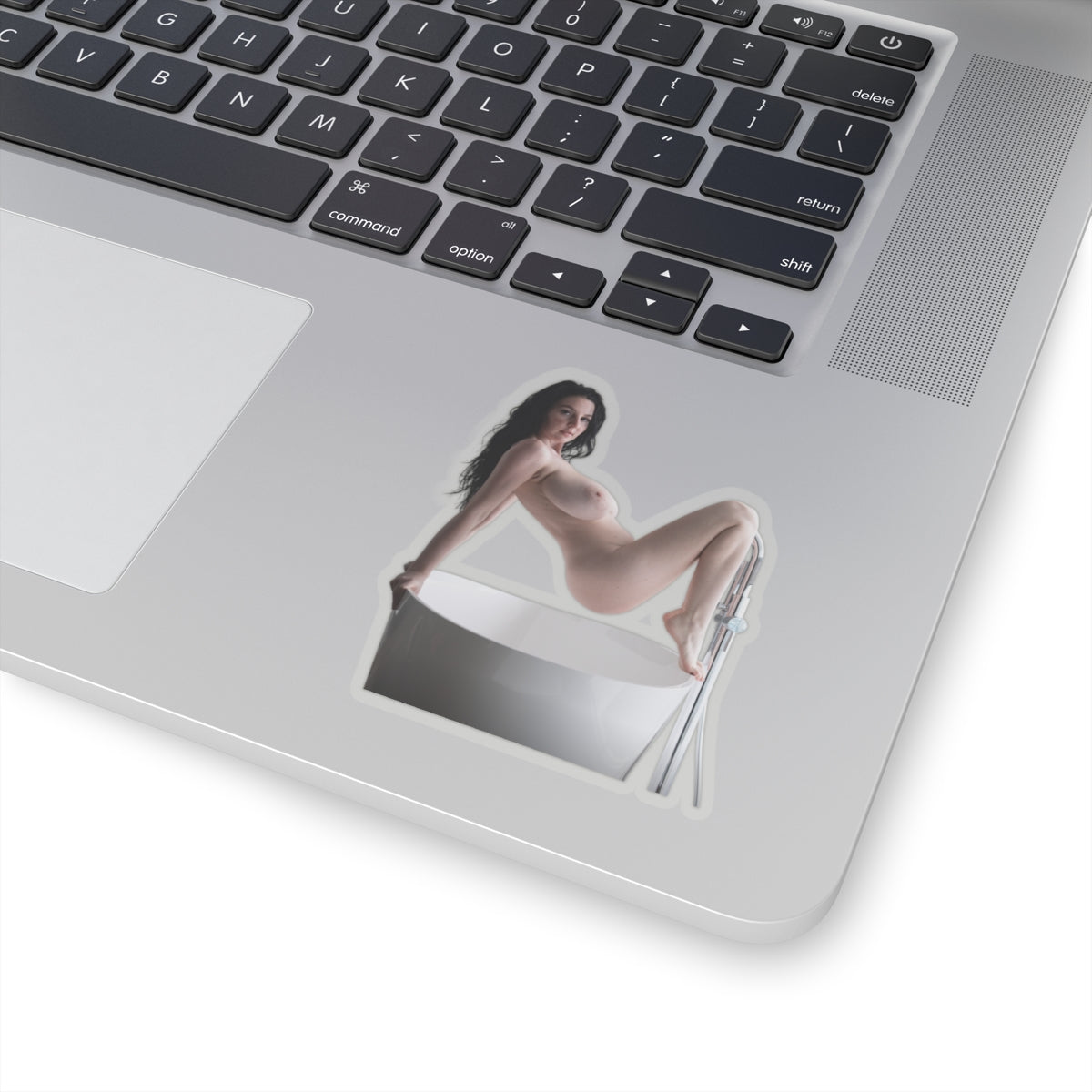 Big Tits Laurine Model Stickers Sexy Girl Sticker