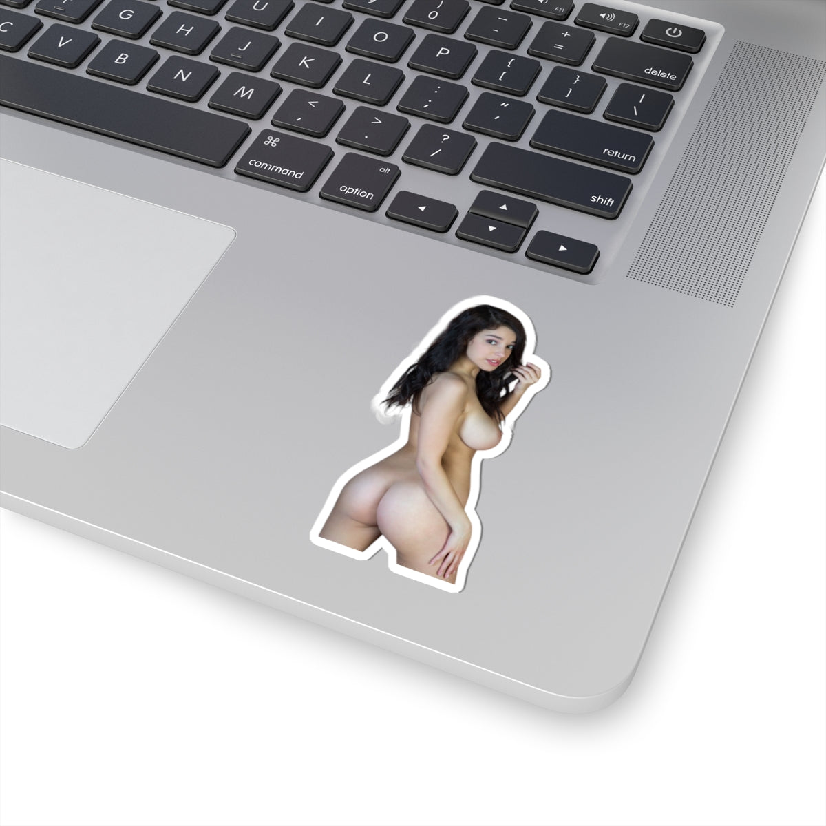 Sexy Nude Girl Decal Pinup Beauty Big Boobs Adult Vinyl Sticker Gift