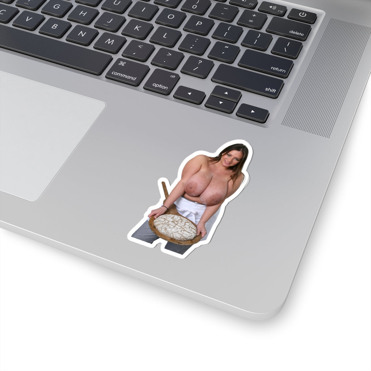 Nadine Jansen Big Tits Model Baker Sticker Sexy Girl Pinup Stickers