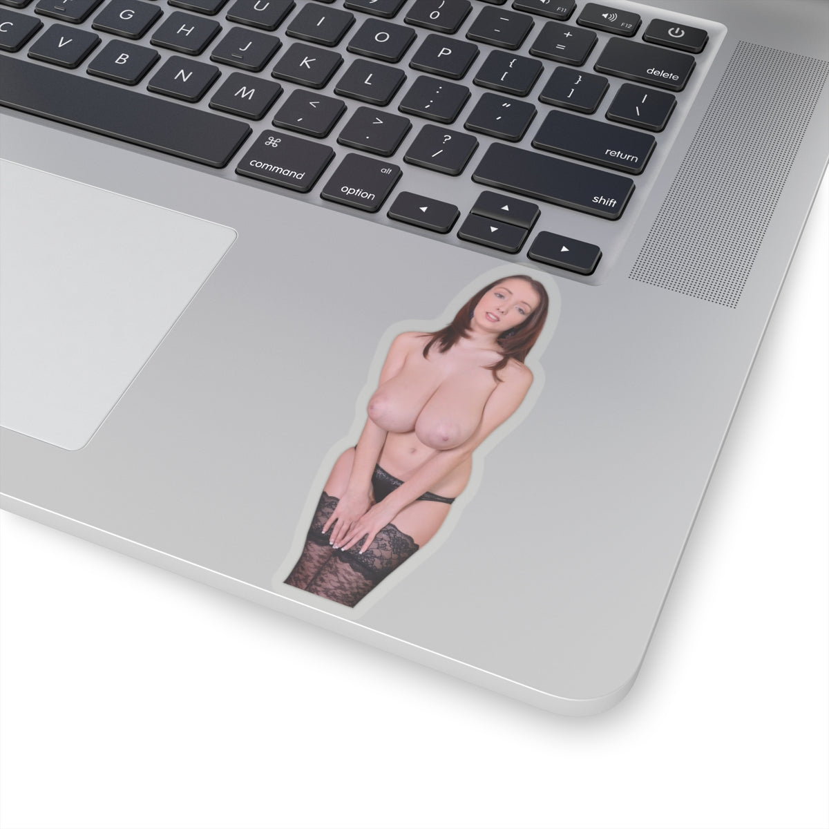 Busty Buffy Big Tits Model Sticker Pinup Uncensored Stickers