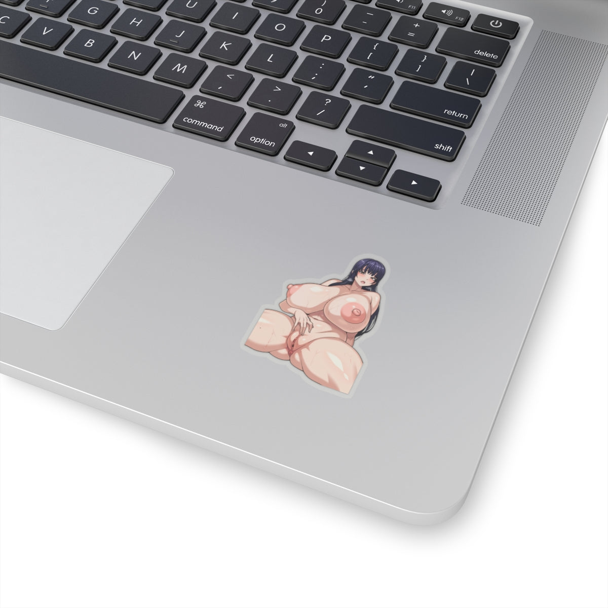 Hentai Anime Stickers Uncensored Decals animecartoonstickers