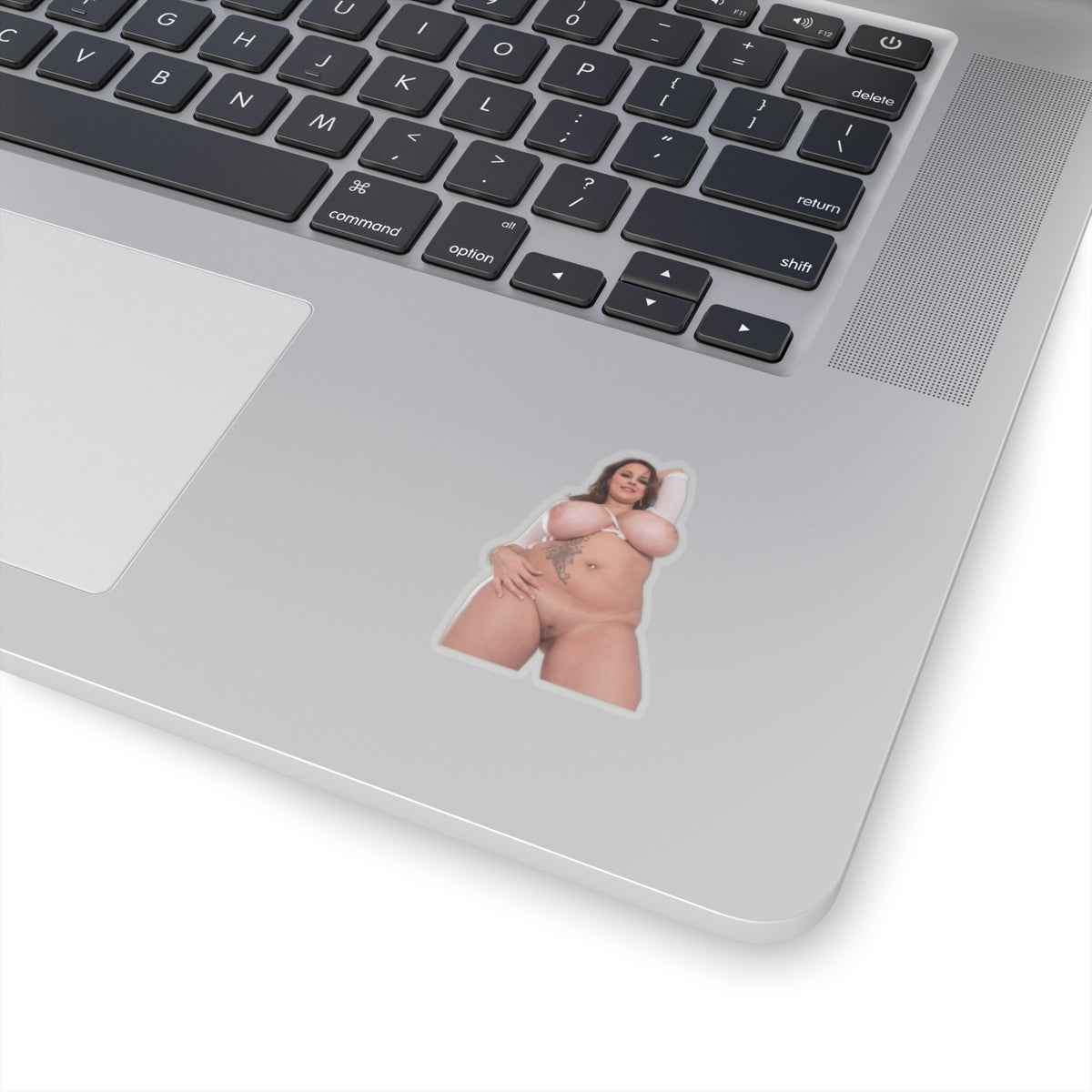Terri Jane Sticker Big Boobs Girl Stickers