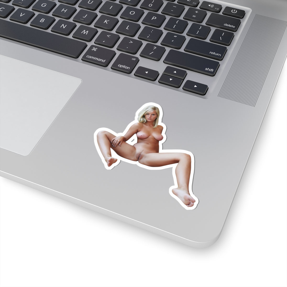 Sexy Pinup Girl Vinyl Sticker Adult Humor Decal