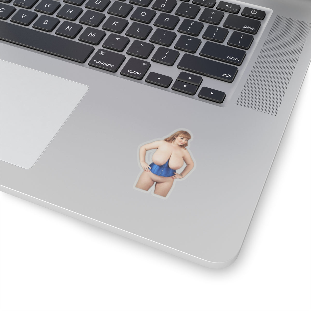 Big Boobs Thicc Curvy Naked Girl Stickers
