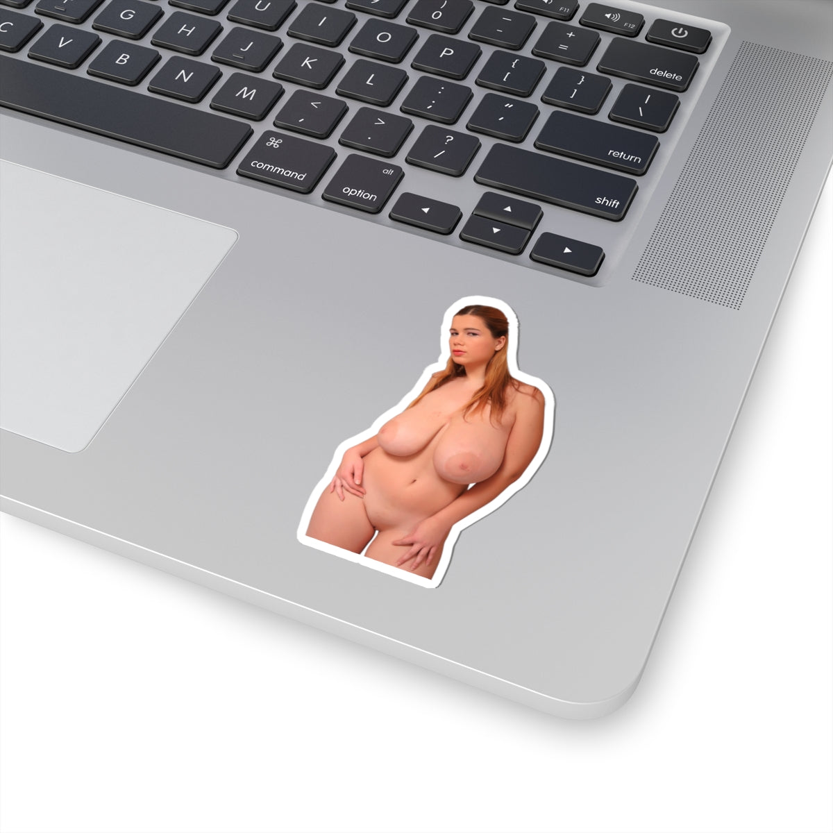 Naked Pussy XXX Sticker Nude Big Tits Stickers
