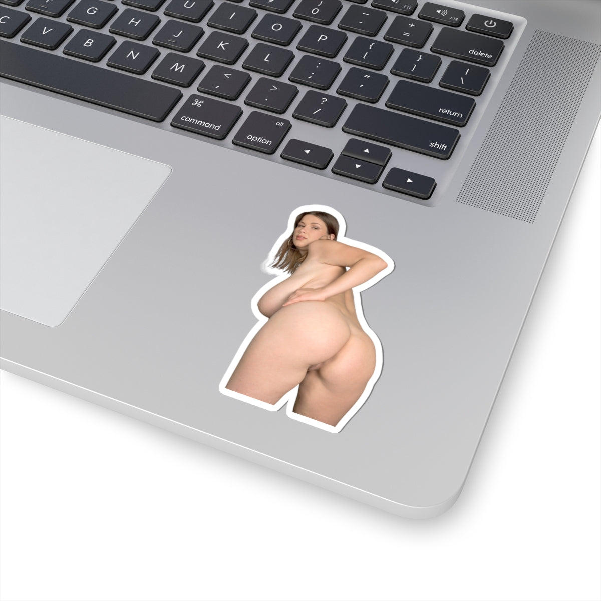 Big Ass Boobs Girl Sticker 2