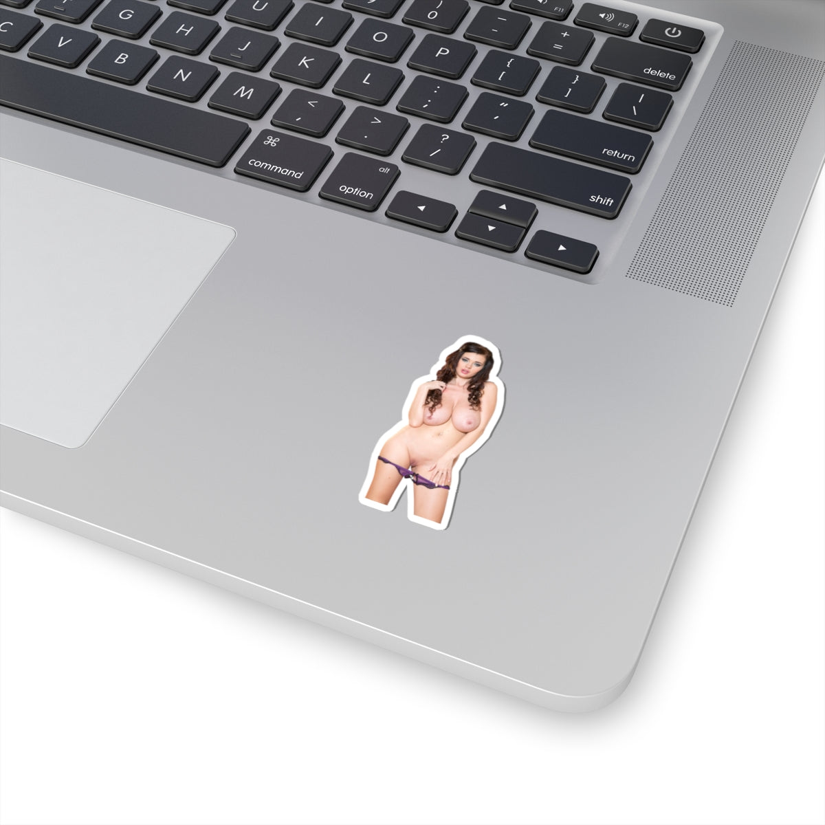 Big Tits Girl Sticker Adult Stickers