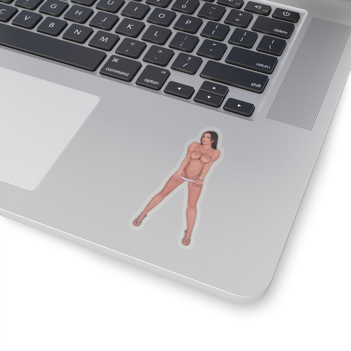 Beautiful Sexy Big Boobs Women Stickers