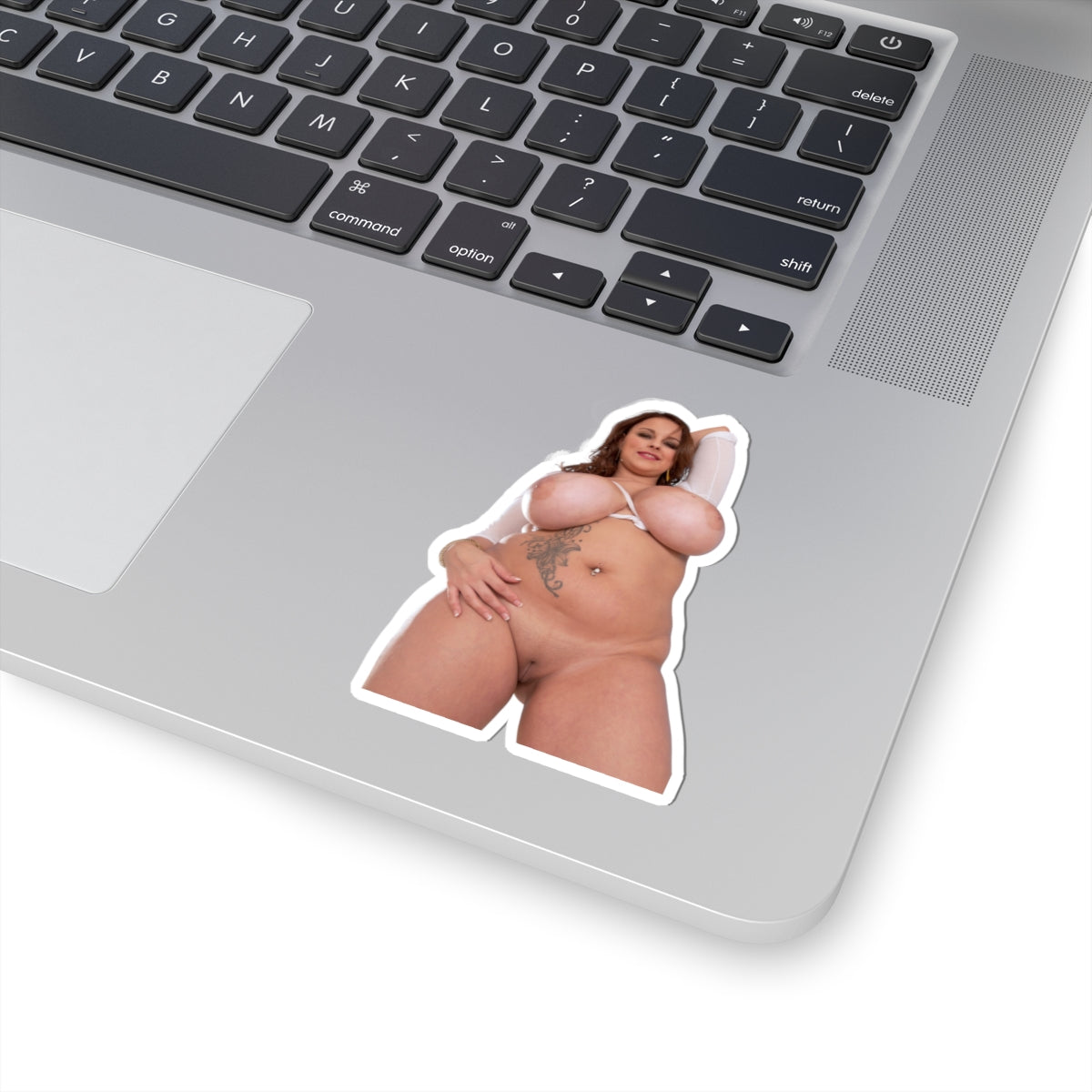 Terri Jane Sticker Big Boobs Girl Stickers