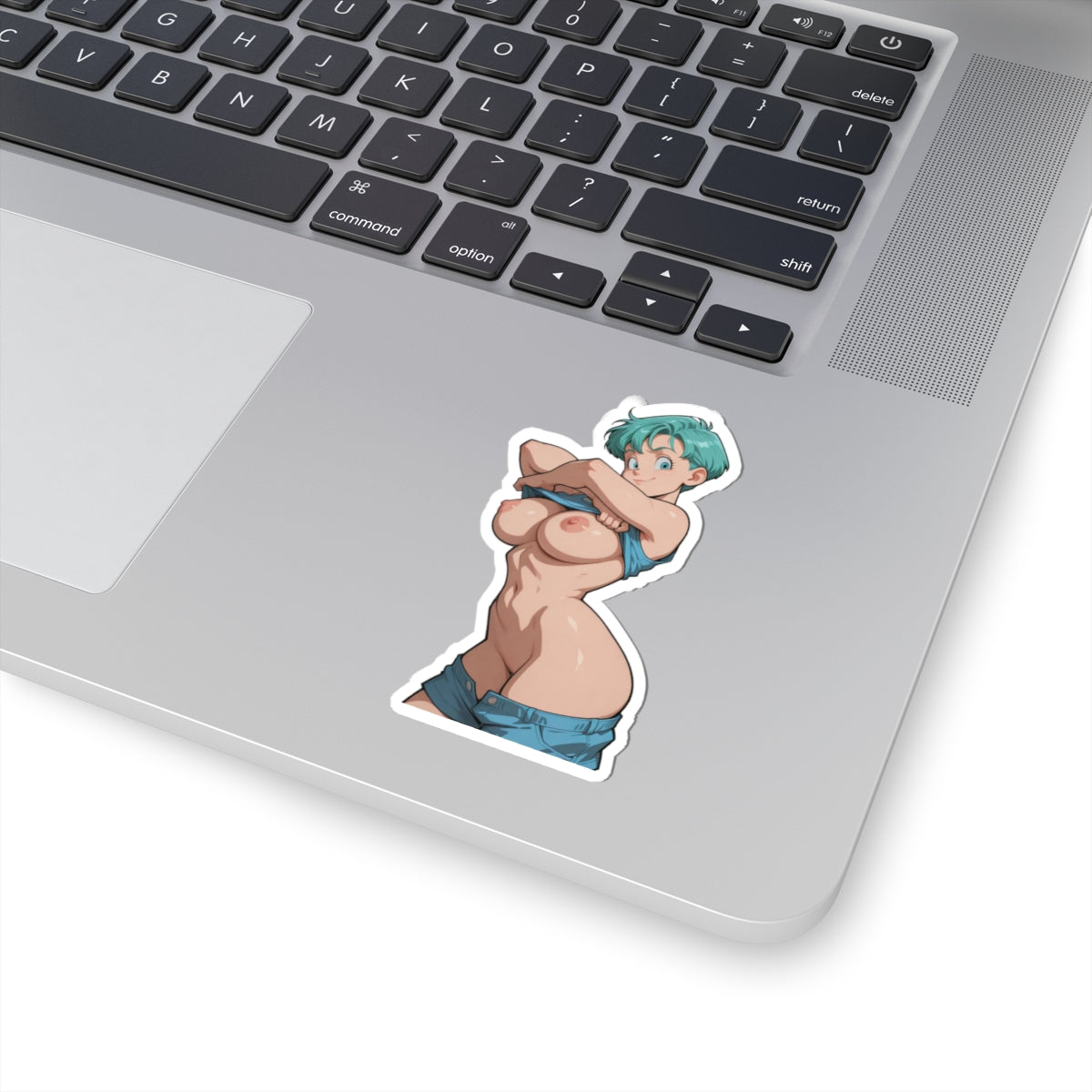 Anime Popular Character Sticker Hentai Uncensored Stickers