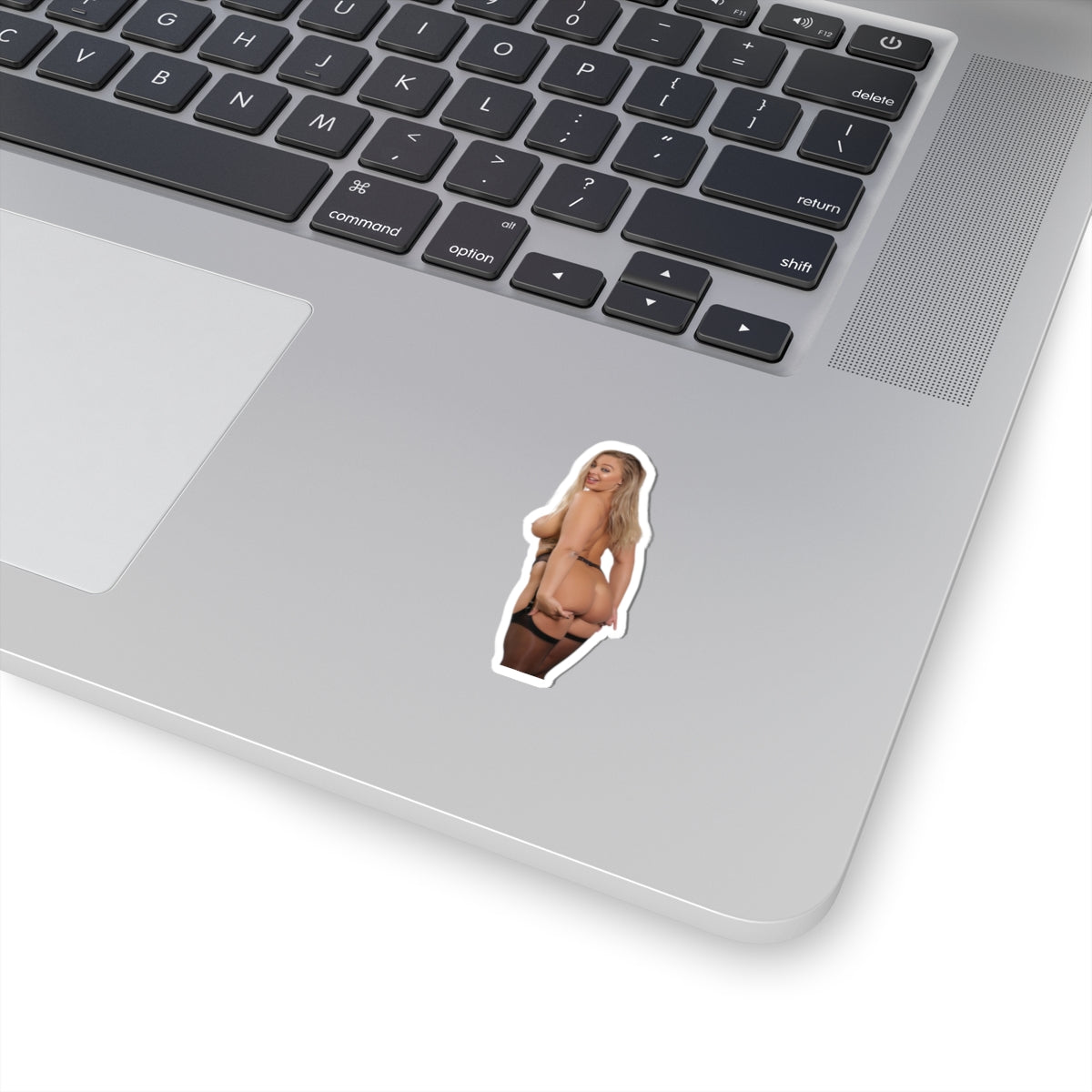 Erotic Sticker Sexy Big Tits Girl Nice Ass Stickers