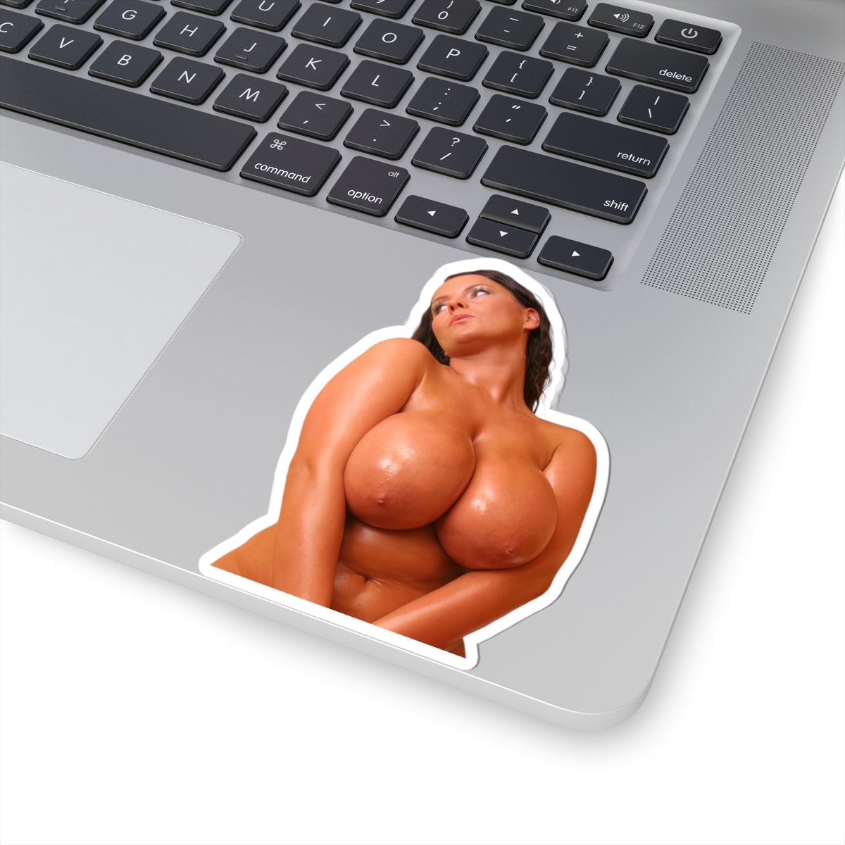 beautiful big boobs girl sticker sexy women uncensored stickers