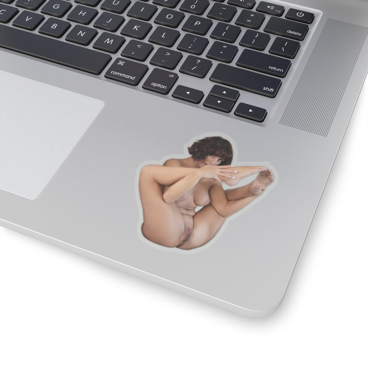 Hot Pinup Model Sticker Naked Girl Sticker