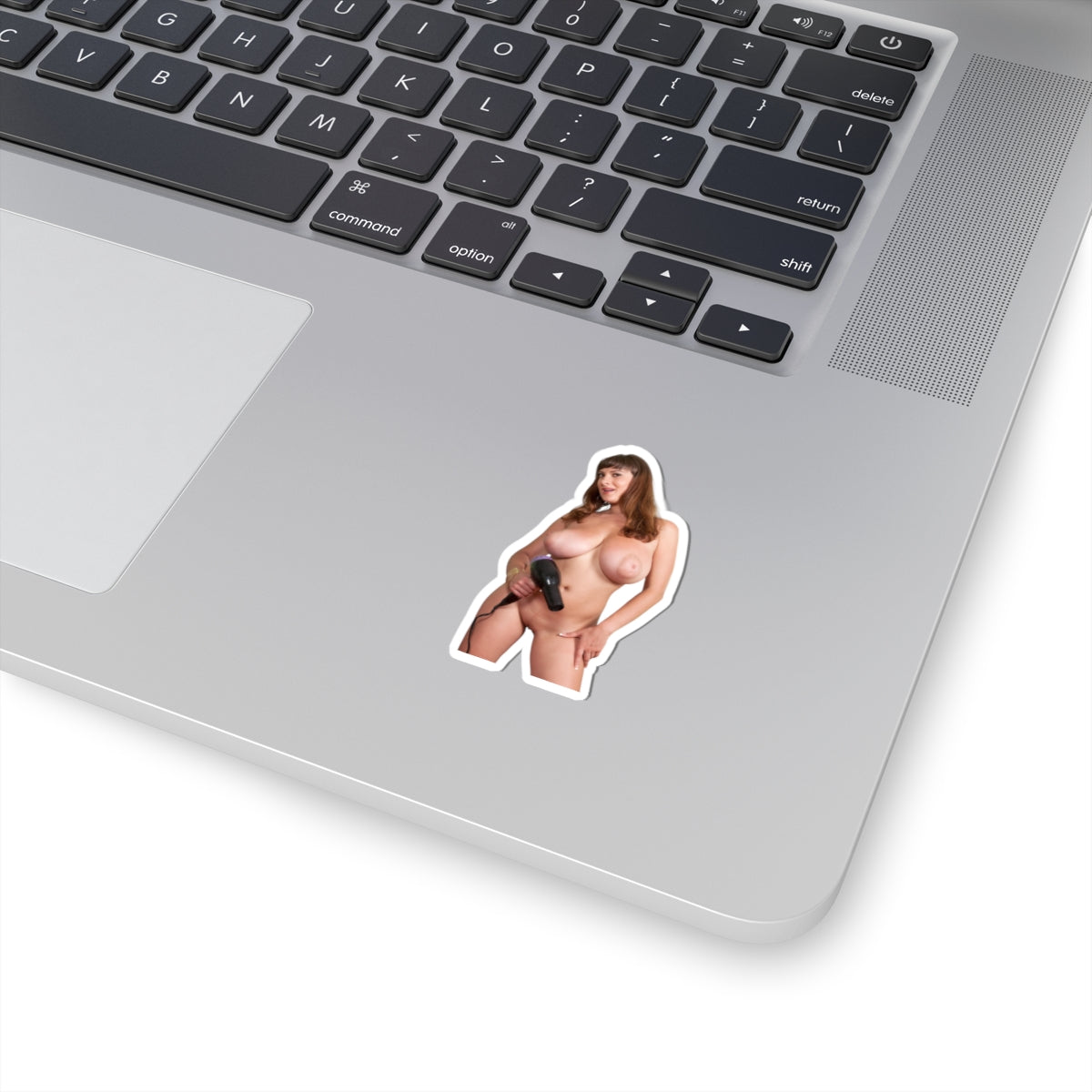 Big Boobs Girl Sticker Adult Stickers Pinup Model Decals