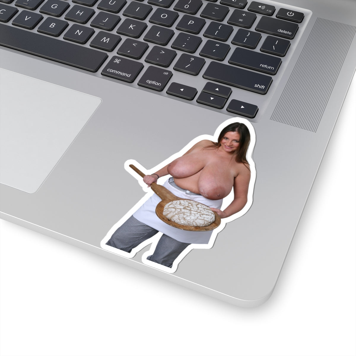 Nadine Jansen Big Boobs Model Sticker Sexy Pinup Stickers
