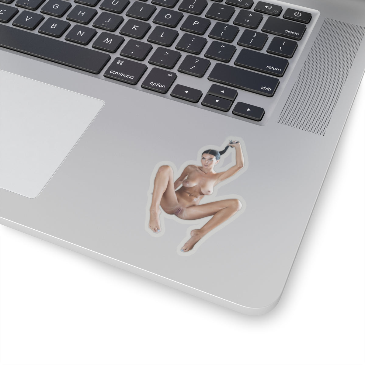 Pinup Stickers Sexy Women Uncensored Sticker