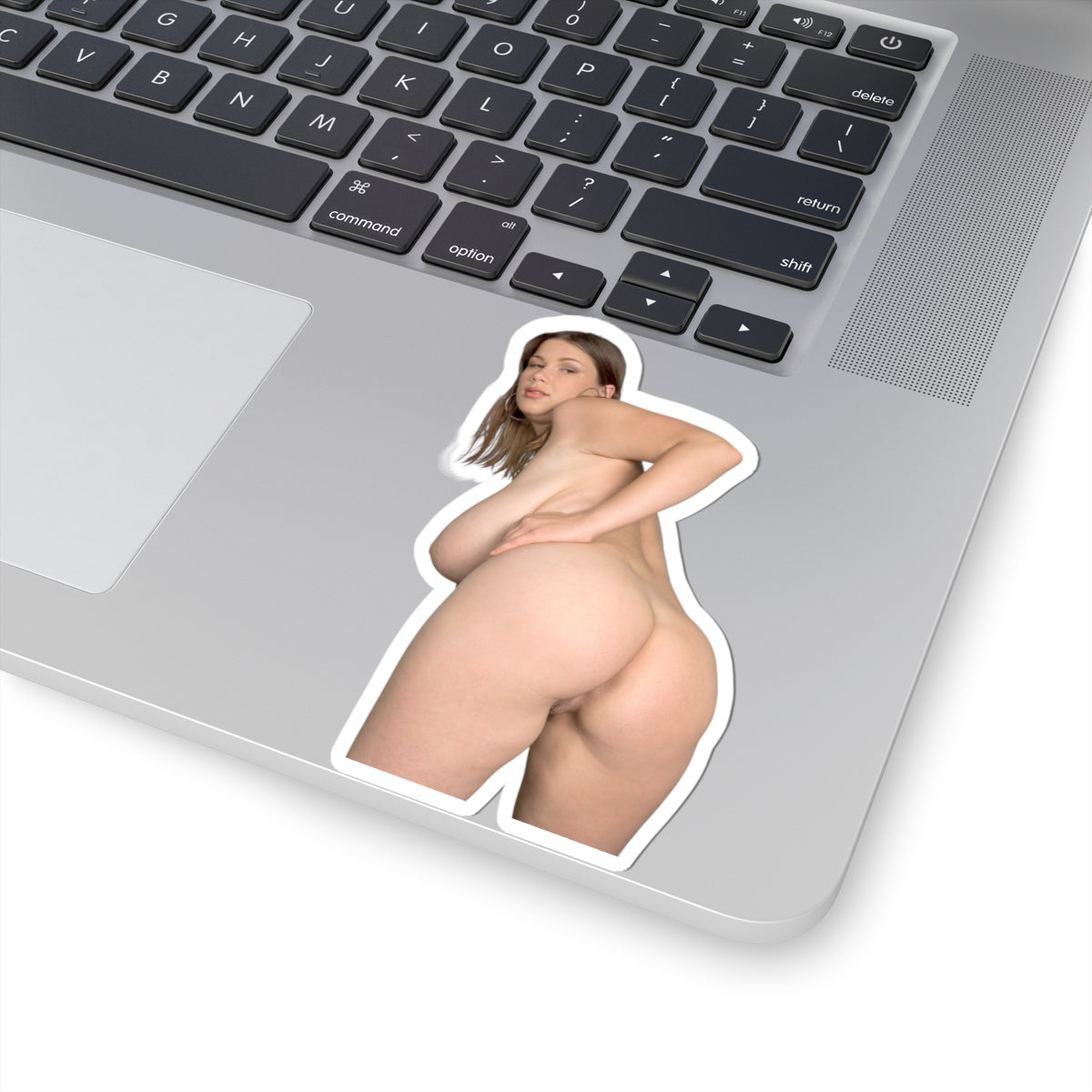 Big Ass Boobs Girl Sticker 2