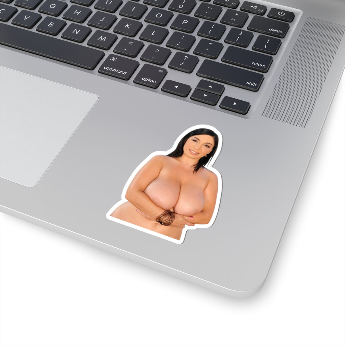 Curvy Woman Pinup Sticker Vinyl Decal Glamour Adult Artwork