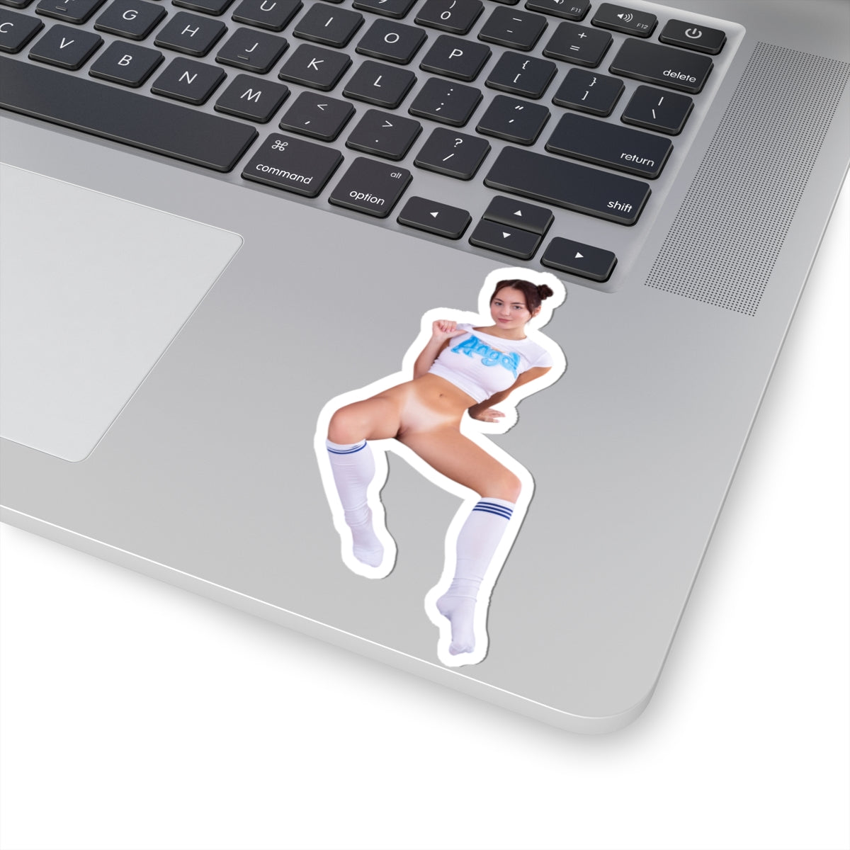 Pretty Sexy Girl Sticker Pinup Model