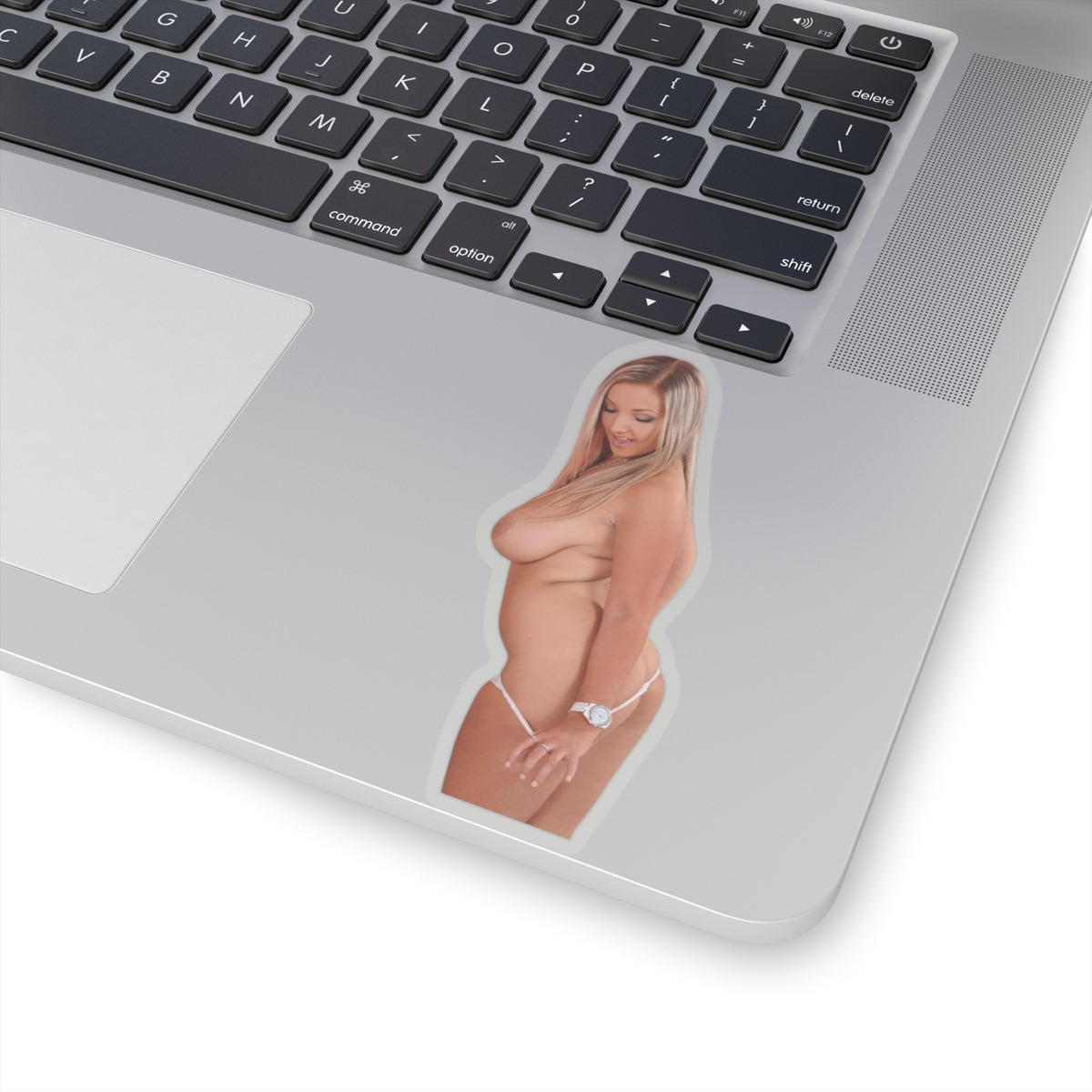 Pinup Girl Sticker Adult Stickers