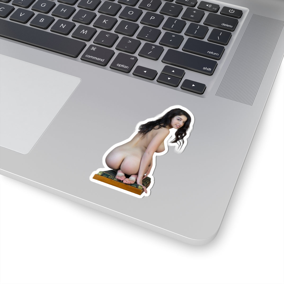 Adult Pinup Girl Sticker Sexy Nude Model Big Bust Vinyl Car Laptop Decal