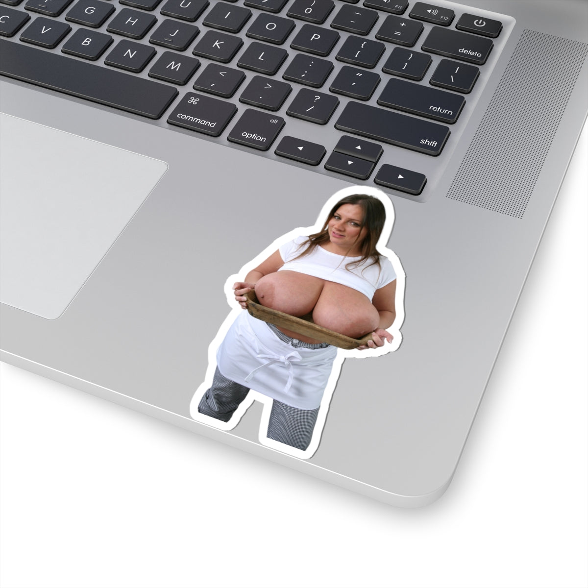 Nadine Jansen Big Tits Model Sticker Sexy Girl Pinup Stickers